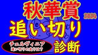 秋華賞2024追い切り診断！今回から装いを新たに見やすさ重視の追い切り診断へ！チェルヴィニアとステレンボッシュの状態がどうか？