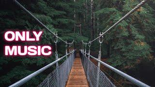 Mediation Music||relax music~sleep music||