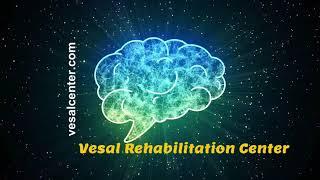 VESAL Brain Check brief presentation