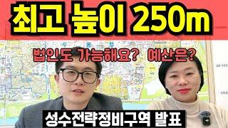 성수 전략정비구역 건축물 높이 최고 250m 이하 정비계획 도시관리계획 결정 소식 서울 한강뷰 아파트 성수동 재개발 알짜 노른자 한강 르네상스 투자지역