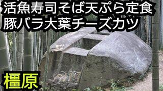 精肉屋の豚バラ大葉チーズカツ 活魚と日本料理の寿司御膳ランチ【奈良 橿原市】