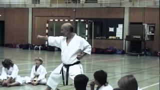 KARATE STAGE: Schwäbisch Hall, Germany – Heian nidan | Shōtōkan Karate with Fiore Tartaglia