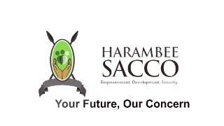 Harambee Sacco Share drive 2024