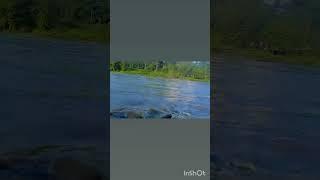 Nau loi anim goi bukare podum oi__Zubeen Garg Song__Status