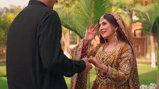 Isharo Isharo Mai - Gorgous Malika on her Mehndi