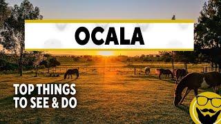 Top Things to See & Do in Ocala, Florida