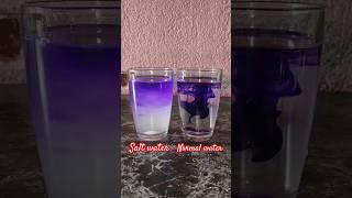 New science Experiment with  salt water and Normal water do at home very early...