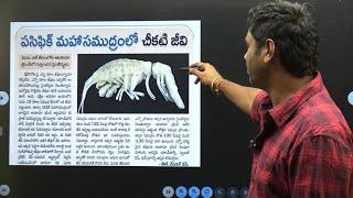 Daily Current Affairs in Telugu | 16 December 2024 | Hareesh Academy | APPSC | TGPSC | Group-2 | SI