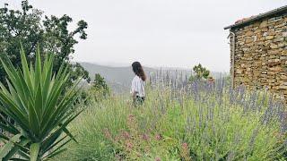 #97 Lush Mediterranean Garden (One Year Later) | Renovating our Abandoned Stone House in Italy