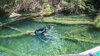 Recorrido de pesca y cocina por hermoso rio cristalino