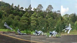 Freewing MiG-29 Fulcrum Digital Camo Twin 80mm EDF Jet Maiden Flight failed & crash.