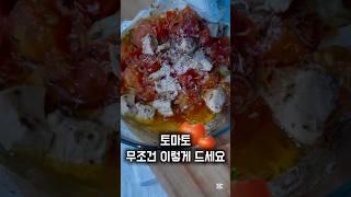 #토마토 #토마토레시피 #식단 #다이어트 #다이어트식단 #점심 #다이어터 #한그릇음식 #한그릇 #불안쓰는요리 #마녀스프 #야매 #간단레시피 #간단요리 #급찐급빠