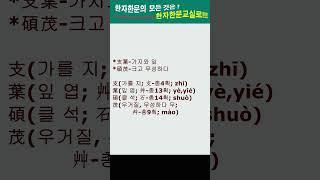 #한자한문#한자마당#한자성어#사자성어#고사성어#지엽석무(支葉碩茂)