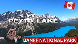 Peyto Lake, Banff National Park  | Canada’s Turquoise Jewel