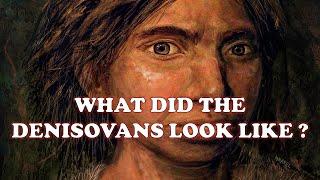 Denisovans:Explained