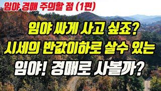 (경매상식1편) 싸고 좋은땅 찾나요? 임야매매 대신 임야경매 볼 때 주의할 점(산지경매 어렵지 않아요)