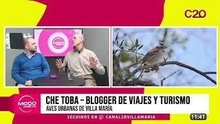 Observación de aves - Charla sobre aves urbanas y migraciones