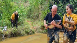 My husband and I happily encountered the giant fish while draining the puddle. catch fish and sell