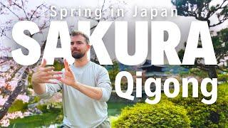 Qigong for Inner Renewal: Practice at a Shinto Temple in Japan Among the Cherry Blossoms (Sakura)