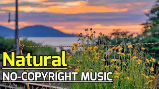 Natural vibes beat no copyright music || kuldex ncs ||