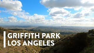 [4K] WALKING: LOS ANGELES, USA - Wilderness in Griffith Park