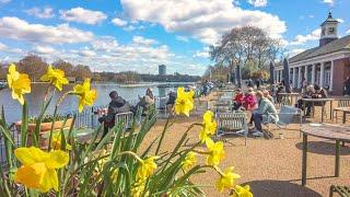 London Spring Walk  Beautiful Hyde Park to South Kensington & Chelsea - 4K 60fps