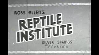 Ross Allen's Reptile Institute