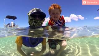 Telesin 6" Underwater Camera Dome Review