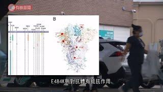 美研究證紐約變種病毒傳染性及抗藥性或更高 - 20210226 - 兩岸國際 - 有線新聞 CABLE News
