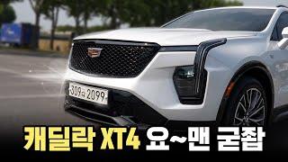 일단 시승을 하면 생각이 달라지는 차  || 캐딜락 XT4 시승기 (스포츠)