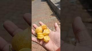 Cutleaf groundcherry or Cape gooseberry?