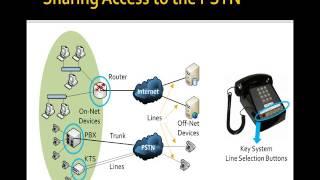 Voice & Data Network Considerations