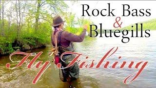 Orvis Reel ~ Fly Fishing for Rock Bass & Bluegills