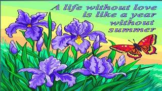A LIFE WITHOUT LOVE IS LIKE A YEAR WITHOUT SUMMER||Dg05 channel #colorbynumber