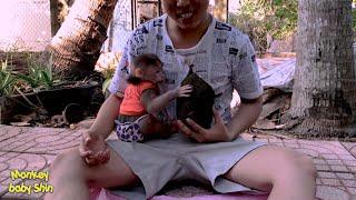 Monkey Baby Shin was First Happy to Eat Jackfruit From The Tree