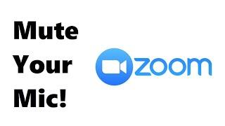 Zoom How to Mute Yourself on iPhone/Mac/PC/Android/iPad