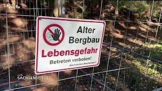 Über die Rettungsversuche in Frohnau bei Annaberg / Erzgebirge