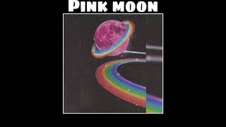 King compalionso- Pink Moon (prod. Bobby oddsock)