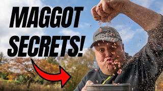 MAGGOTS are the BEST bait for these fish...