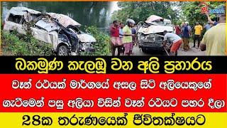 වෑන් රථයක් මාර්ගයේ අසල සිටි අලියෙකුගේ ගැටීමෙන් පසු අලියා විසින් වෑන් රථයට පහර දීලා