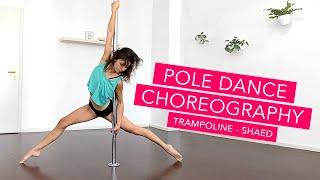 Contemporary Pole Dance Choreography to Trampoline - Shaed (Zayn)