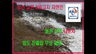 [영월부동산TV] 자연인 /임야5만평 무상임대 / 영월부동산 / 영월토지 / 영월토지매매 / 영월부동산