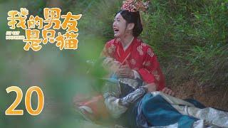 EP20 猫王子英雄救美命悬一线 可爱少女抱着他大声痛哭 他们能否度过难关我的男友是只猫 My Cat Boyfriend｜奇幻甜宠爱情｜田曦薇《卿卿日常》、肖凯中