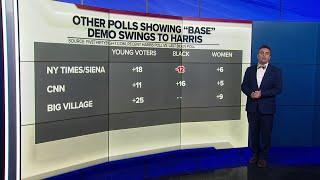 A look at the Harris/Trump poll numbers