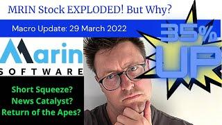 MRIN: Marin Software stock Exploded! UP 35% in 30 minutes - But why?