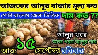 আলুর বর্তমান পরিস্থিতি I Current Situation of Potatoes in Bengal  Indian Potato News 15/09/24