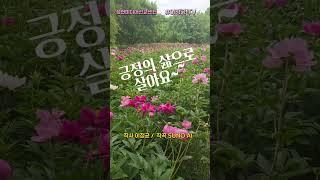 긍정의 삶으로 살아요   #긍정의삶 #성헌미디어선교센터 #국제미디어Ai선교협회 #미디어선교사양성