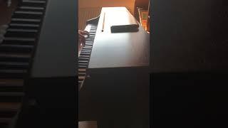 Hallelujah - piano cover (demo af Technics SX-PX207)