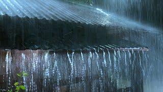 Get Over Insomnia with Heavy Rain & Robust Thunder Sounds Pierces a Tin Roof of Forest Farm at Night