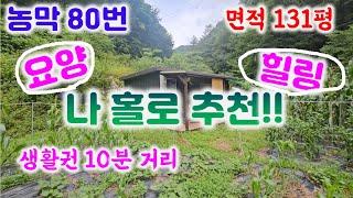 농막 80-1번(4500만)국유림 속 요양.휴양.편안한곳.비선호 ㆍ송전선 제로,산소  전기 수도 통신 가능/033-765-5998#국유림토지#영월농막매매#영월토지매매#나홀로토지#